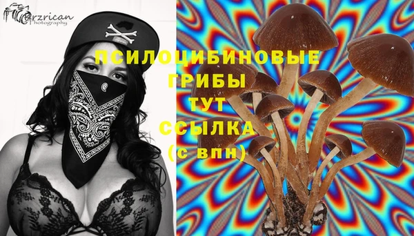 амф Белоозёрский