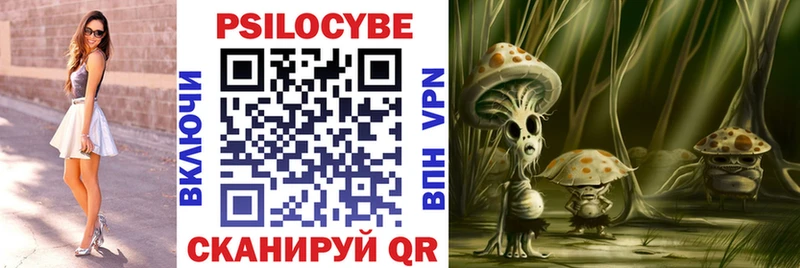 Псилоцибиновые грибы Cubensis  Староминская 